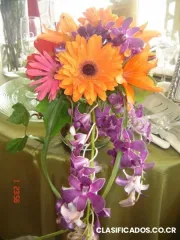 Costa rica destination wedding, travel and living top five, discovery channel