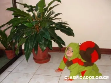 Disfraces y articulos de fiesta