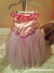 Disfraz o vestido para fiesta