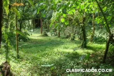 Las mejores casas y lotes al mejor precio