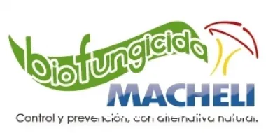 Lechugas macheli