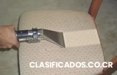 Limpieza de alfombras y muebles