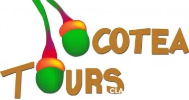 Ocotea tours