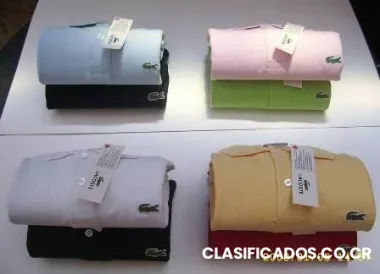 Polos y camisas de las mejores marcas