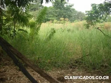Se vende propiedad en sierpe de osa de 473.09m2