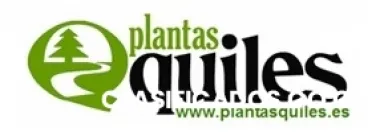 Vivero madrid, jardineria madrid. vivero toledo, jardineria toledo