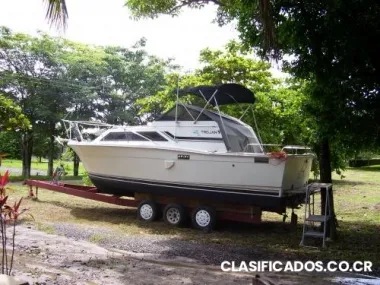 Yate trojan bertran 30 pies