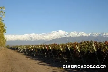 A importadores de vinos alta gama.
