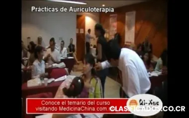 Auriculoterapia curso intensivo 25 y 26 de junio 2010