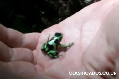 Busco trabajo medio tiempo