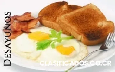 Catering service yiré: el éxito de tu evento