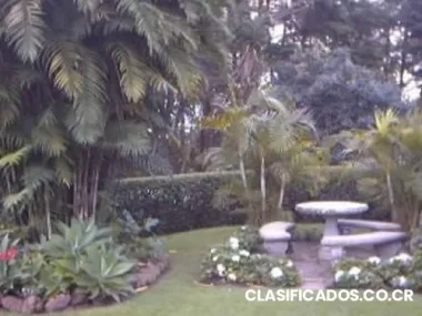 Diseño,decoración y mantenimiento de jardines