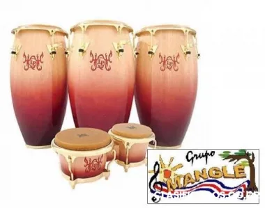 Grupo musical mangle - costa rica