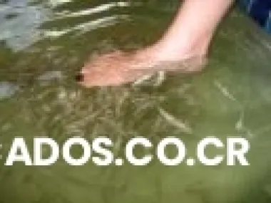 Impiense su propio negocio con el ultimo hype