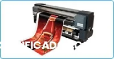 Impresiones profesionales