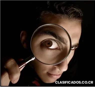 Investigaciones de mercado, análisis y elaboracion de cuadros estadisticos