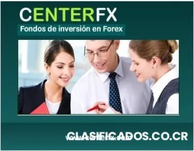 Invierte sin riesgos, utiliza el mejor fondo de inversión