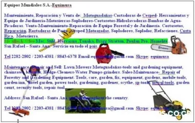 Mantenimiento, reparacion y venta equipo forestal y jardineria equimusa costa rica