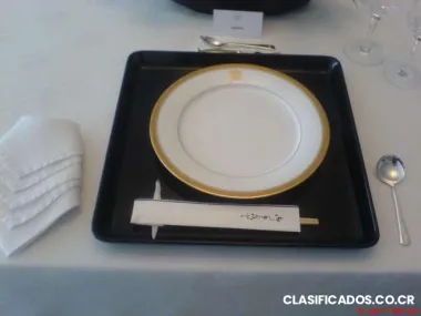 Mayordomo busca empleo. experiencia en embajadas diplomaticas.