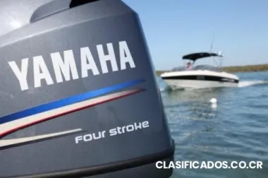 Motor fuera borda yamaha 115 usado 2008