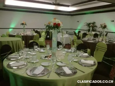 Organización, alquiler de mantelería y decoración para todo tipo de eventos.