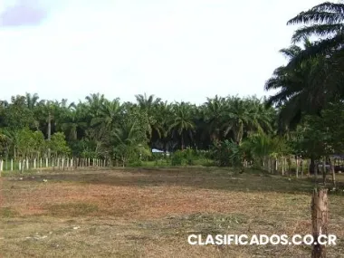 Pacifico central entre jaco y quepos