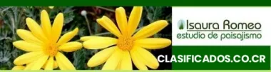 Paisajismo madrid - paisajistas madrid