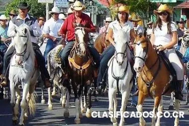 Palmares 2015 transporte