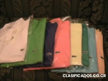 Polos lacoste