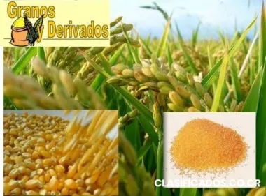 Productos de maiz y arroz