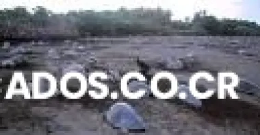 Tortugas en ostional, aproveche todo incluido!!!