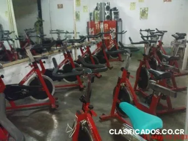 Vendo 19 bicicletas profesionales cicadex