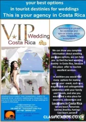 Beach wedding costa rica guanacaste, tropical flowers