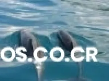 Excursiones golfito, panama,decameron, arenal, tortuguero, tours nacionales, circuitos ...