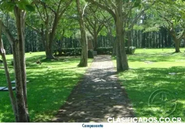 lkflfjslafksjaflskjfslkjdjdjjdljdldkjdlkjdlkjdlkjdlkjds