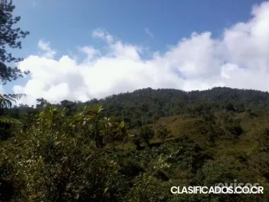 120 hectáreas en turrialba