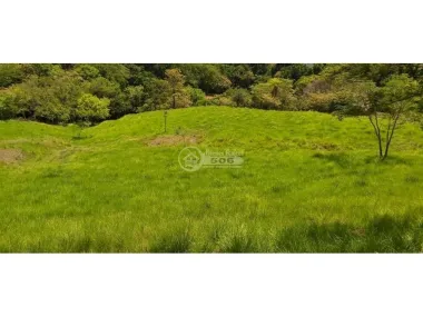 Finca Lepanto Puntarenas