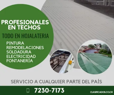 PROFESIONALES EN TECHOS Y MUCHO MÁS.. 