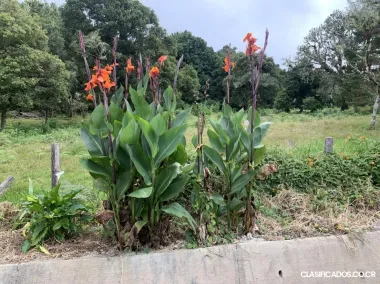 Lotes en Jardín de Dota / Zona de Los Santos
