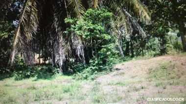 Terreno en Venta en Matapalo de Quepos