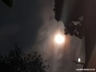 Dono riñon saludable, A+