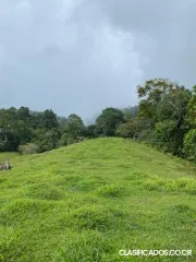 SE VENDE GRANDE Y BELLA FINCA EN SIQUIRRES, LIMÓN. 