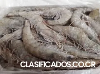 buy fresh seafood online worldwide