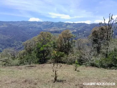 SE VENDE ESPECTACULAR FINCA EN EL GUARCO DE CARTAGO. 