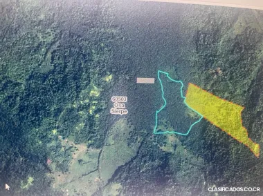 SE VENDE BELLA FINCA EN SIERPE DE OSA. 