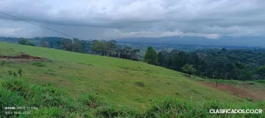 SE VENDE BELLA Y ÚTIL FINCA MULTIUSO EN PITTIER, COTO BRUS.