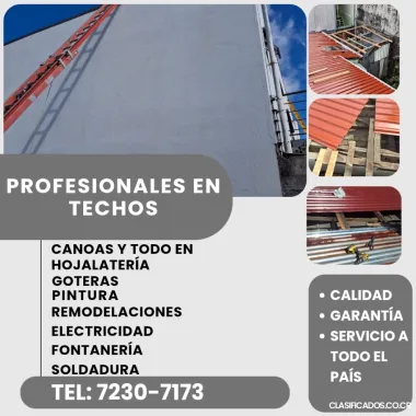 PROFESIONALES EN TECHOS. CAMBIO DE CANOAS Y MÁS..