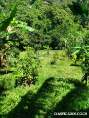 SE VENDE BELLA PROPIEDAD Y CABAÑA EN PURISCAL. 