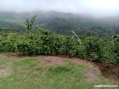 SE VENDE ÚTIL FINCA EN SAN ISIDRO DE ALAJUELA. 
