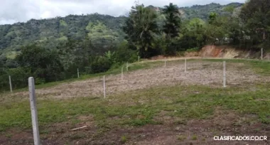 DE OPORTUNIDAD BELLOS LOTES EN DERECHO EN ACOSTA, SAN JOSÉ.